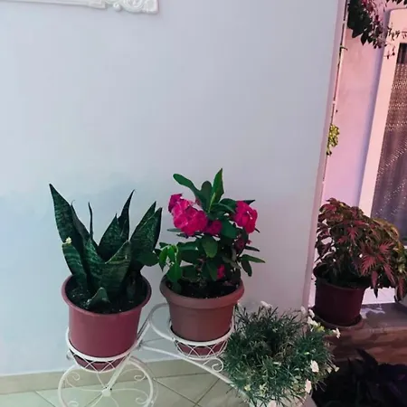 Daire Sala Apartment's *