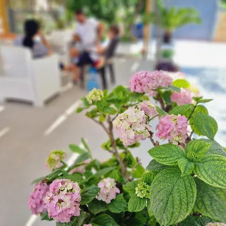 Sala Apartment's