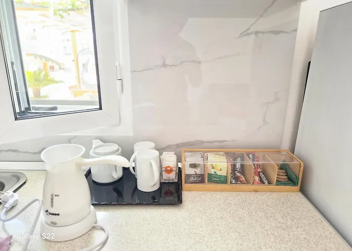 公寓 Sala Apartment's *