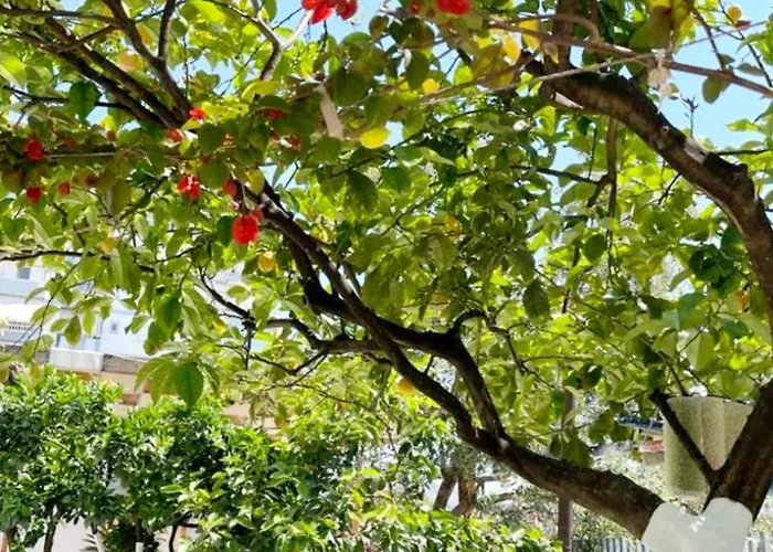 Sala Apartment's 公寓 Sarandë